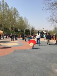 -酷酷兔少儿拓展天地