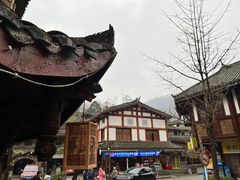-龙翔山庄雷鸡肉(青城后山泰安古镇店)