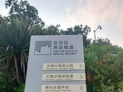 -大梅沙海滨公园