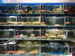 水产区-海味当家·蒸锅海鲜(中山广场创始店)
