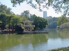 -晓港公园