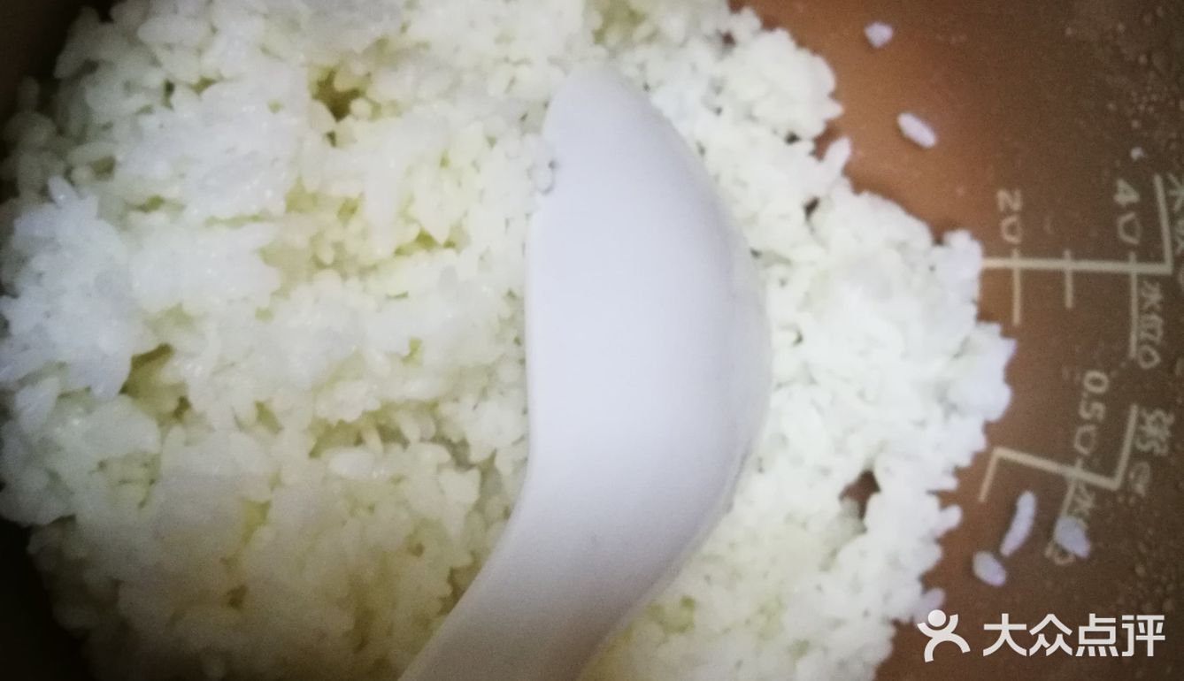 土豆恐饭
