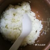 土豆恐饭