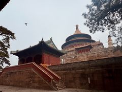 -普乐寺