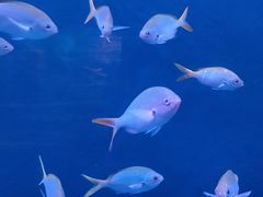 -沈阳海洋探索中心