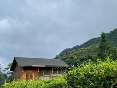 -姑婆山旅游区