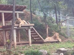 -石家庄市动物园