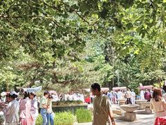 -首都医科大学附属北京友谊医院(西城院区)