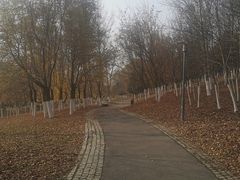 -莫子山公园