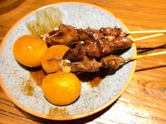 -王氏炉匠·烧鸟放题自助(三里屯店)