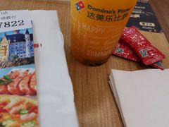 -达美乐比萨(国瑞北路店)