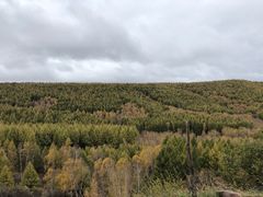 -塞罕坝国家级自然保护区