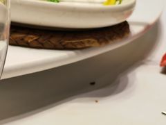 -同庆楼(天鹅湖万达店)