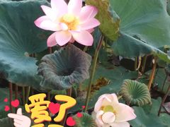 -潘塘公园