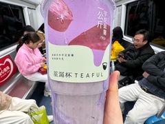 -星满杯TEAFUL(罗湖东门店)