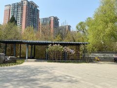 -南长河公园
