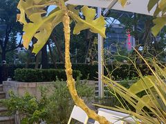 -法桐蛋糕·手作面包(万象城店)