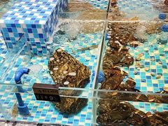 -映像威海·海鲜味道(市区店)