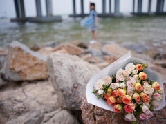 -宝安西湾红树林湿地公园