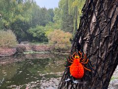 -三忘湖 SWANSEEN(柳荫公园店)