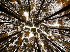 -山王坪喀斯特国家生态公园