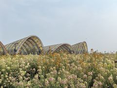 -中国天府农业博览园