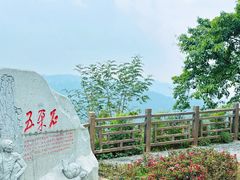 -铁山坪森林公园