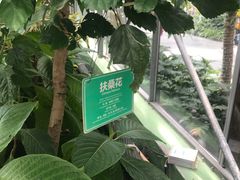 -南宫五洲植物乐园