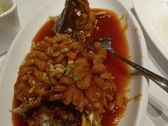 松子桂鱼-和记小菜(东方店)