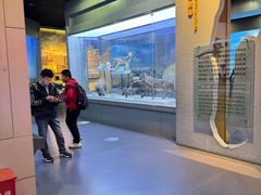 -国家自然博物馆