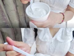 椰子雪糕-洪馨椰子