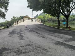 -顺峰山公园