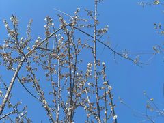 -荔枝公园(福田区)