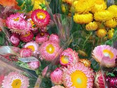 -AEON永旺(东方宝泰店)