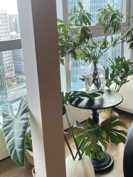 点击看大图 -栖SPA·ONDA ·海菲秀·皑皑科技美肤中心