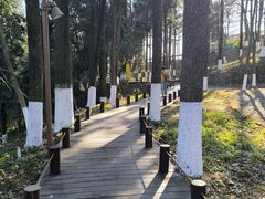 -莫干山风景区