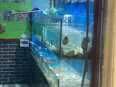 -高家烧鸽子烧烤店63年