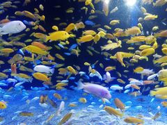 -成都浩海立方海洋公园