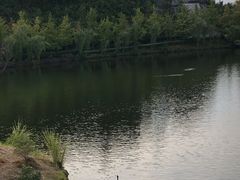 -重庆园博园
