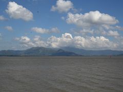 -深圳湾公园(南山区)