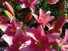 -长春公园(普阳街道)