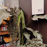 郑州📍美食｜半丘