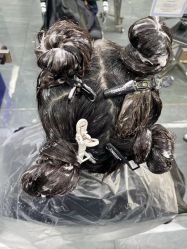 -茶发Salon·烫发染发理发