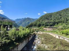 -卧龙中华大熊猫苑神树坪基地