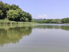 -西湖游船
