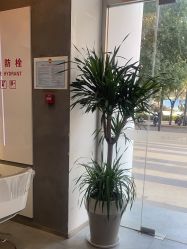 -古川造型