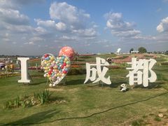 -空港花田景区