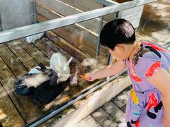 -北京鹿世界主题园