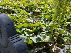 -韩湘水博园
