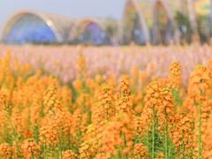 -中国天府农业博览园